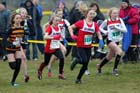 Under-13s girls start, North East Harrier League, Wrekerton, Gateshead